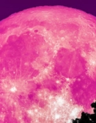 STORY TIME: “How I Manifested Money out of Thin Air”